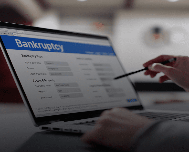Person reviewing bankruptcy form online
